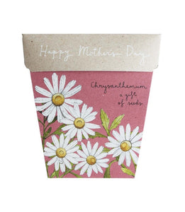 Sow'n Sow A Gift of Seed Mother's Day Chrysanthemum