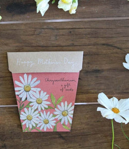 Sow'n Sow A Gift of Seed Mother's Day Chrysanthemum